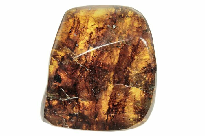 Polished Chiapas Amber ( g) - Mexico #274416